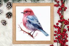 Christmas Birds Clipart , Christmas Birds Clipart Product Image 3