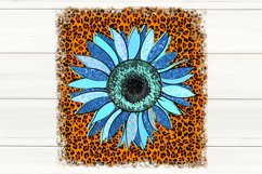 Sunflower with leopard petal| Sublimation Design bundle, PNG Product Image 3