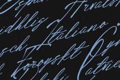 Radiant Horizon Script Signature Font Product Image 3