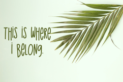 The Island Sans Product Image 3