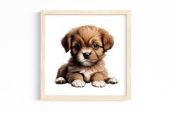 Peeking Dog Collection Clipart Product Image 3