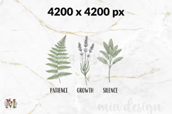 Patience Growth Silence PNG, Minimalist Plant Sublimation Product Image 3