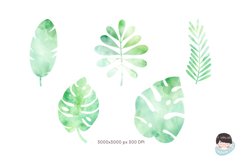 Leaves Watercolor clipart Product Image 3