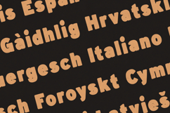 Minerva Blackout Font | Retro Bold Display Typeface Product Image 3
