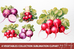 Cute Vegetables Sublimation Clipart Product Image 1