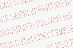 Italian Connected Edition Elegant Condensed Serif Font Product Image 3