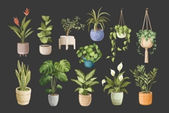 Watercolor Houseplants Clipart Product Image 5