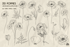 Poppies line art collection Svg Png Eps Product Image 3