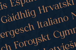 Creators Type Serif Font Elegant Soft Editorial Product Image 3