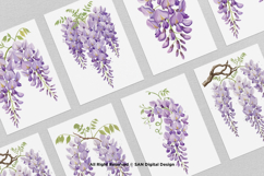 15 Bundle Watercolor Wisteria Flower Romantic Japanese Product Image 3