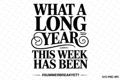 What a long year svg | Summer Svg | Svg Cut Files Product Image 1