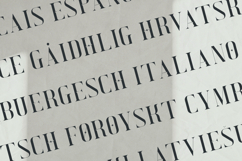 EXQUISITE Elegant Serif Font Product Image 3