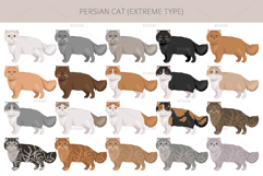 Persian cat. Extreme type Product Image 2