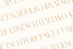 Future Flow Futuristic Elegant Serif Font Product Image 3