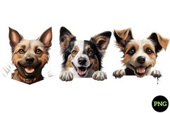 Breeds Of Peeking Dogs Collection Product Image 1