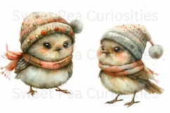 Birds, Christmas, Fall, Ephemera, PNG, watercolor, Clipart Product Image 3