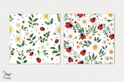 Ladybugs digital paper, background clipart Product Image 3