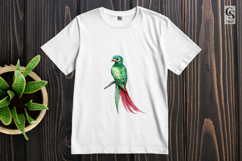 Green Quetzal Bird Watercolor Clipart Sublimation PNG Product Image 2