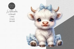 Highland calf clipart, White cow clipart Product Image 1