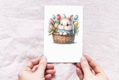 Baby Bunny Product Image 4