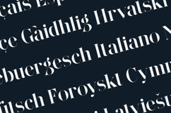 Wonderz Prime Luxury Modern Serif Font Product Image 3