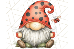 Summer Garden Gnomes Clipart PNG, Summer Country Gnomes Png Product Image 3