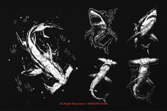 10 Bundle Dark Art Shark Predator Fish Sea Fins Jaws Bleed Product Image 5