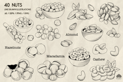 Nuts line art collection Svg Png Eps Product Image 3