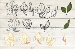 Magnolia SVG, white flowers bundle, fine art floral bouquet Product Image 4