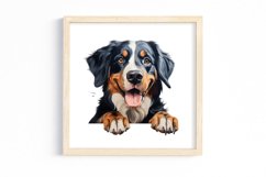 Breeds Of Peeking Dogs Collection Product Image 3