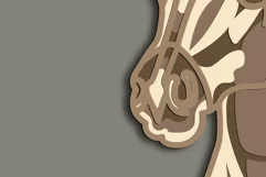Horse multilayer Svg/Indian Horse//3D Layered Cut File Product Image 4