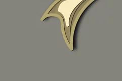 Colibri multilayer Svg/Colibri Plywood Cut/3d Colibri bird Product Image 5