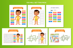 My Body Parts. Educational Flashcards Product Image 2