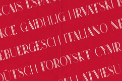 Future Flow Two Lines Serif Font Product Image 3
