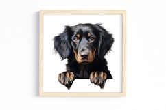 Peeking Dog Collection Clipart Product Image 3