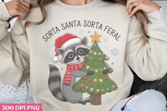 Sorta Santa Sorta Feral PNG, Funny Sarcastic Sublimation Product Image 1