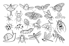 Insects SVG PNG Bundle, Bug Clipart, Garden Insects Line Art Product Image 3