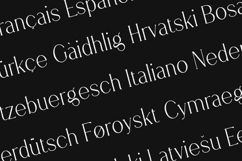 Stolen Love Rough Serif Font Product Image 3