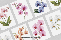 15 Bundle Watercolor Orchids Flower Tropical Exotic Blossom Product Image 3