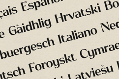 Signa Elegant Serif Modern Editorial Typeface Product Image 3