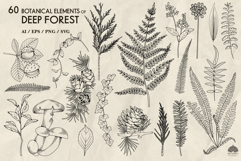 Botanical forest line art collection Svg Png Eps Product Image 3