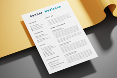 11 Clean Resume CV - Canva Product Image 3