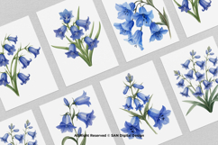 15 Bundle Watercolor Blue Bell Flower Spring Floral Garden Product Image 3
