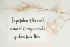 Everything Product Image 3