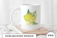 Watercolor Lemons composition png Product Image 3