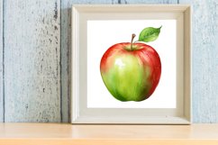 Watercolor Apple Clipart Product Image 3