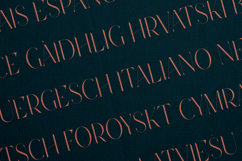 Future Flow Elegant Cut Serif Typeface Product Image 3