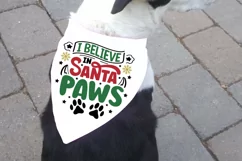 I believe in santa paws SVG, Christmas SVG Product Image 3