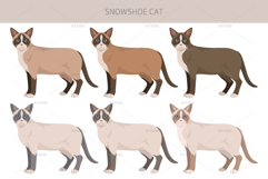 Snowshoe Cat Product Image 2