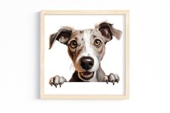 Breeds Of Peeking Dogs Collection Product Image 3